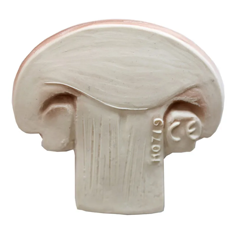 OLI & CAROL - CHAMPIGNON EN CAOUTCHOUC NATUREL - littlecasba.com