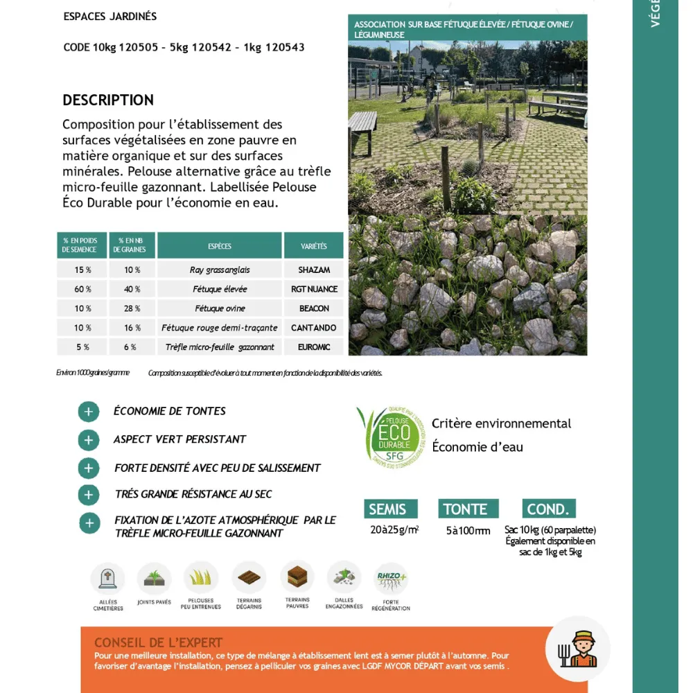 Pelouse alternative terra terre pierre 10 kg trèfle micro-feuille, pour sols secs - florivert 1201805